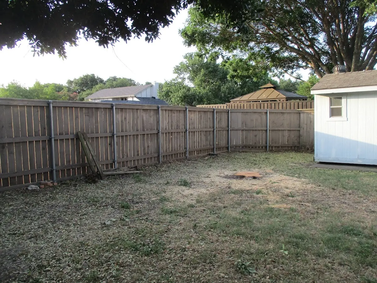 Cleared yard after professional tree removal in Angelica